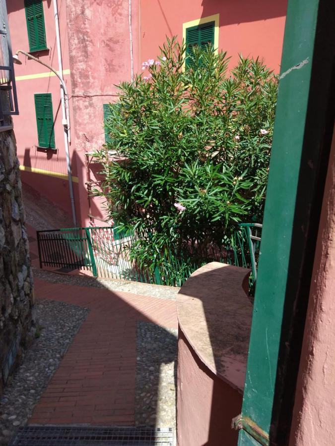 Appartamento Fiordaliso Montale  Dış mekan fotoğraf